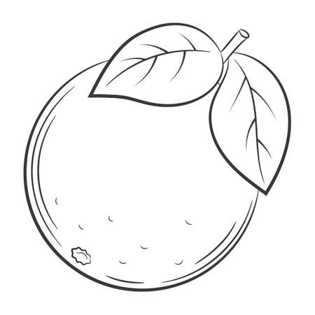 Online coloring book: Coloring big grapefruit
